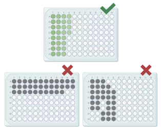 Plate submission layout